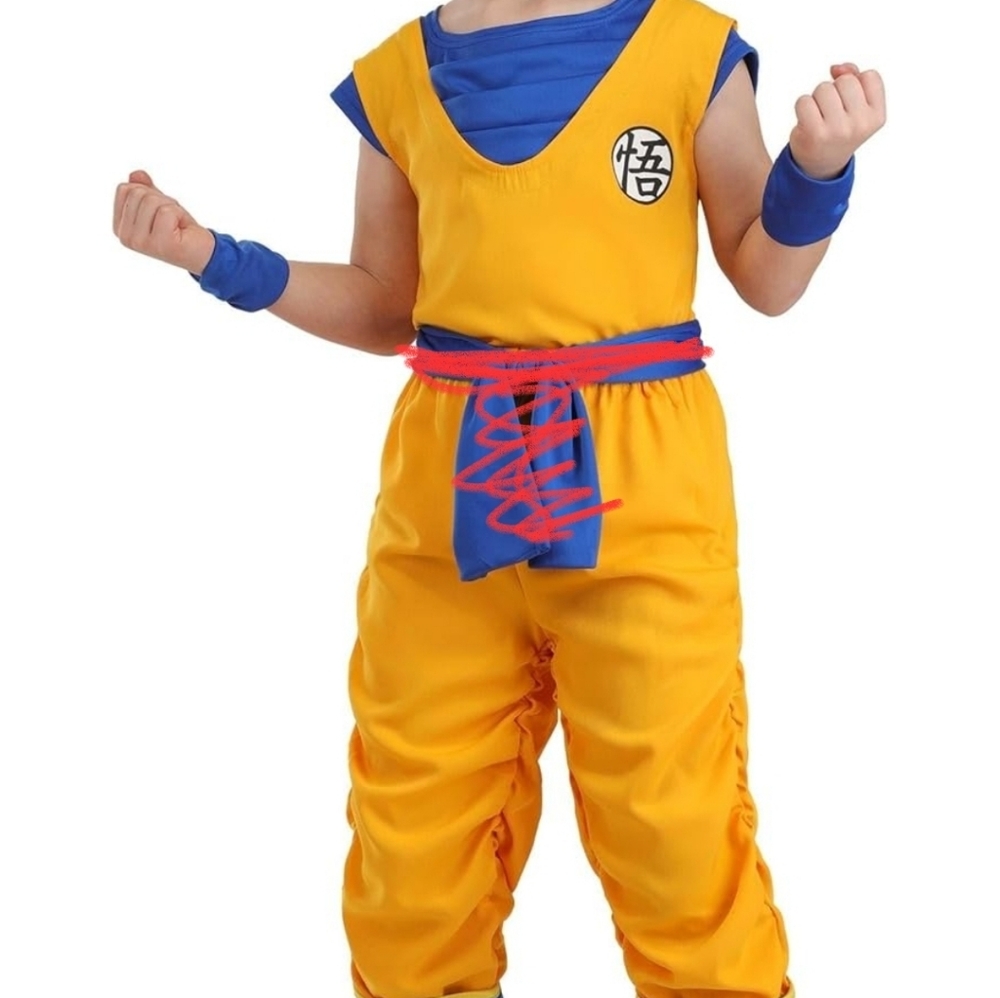 Dragon Ball Z Costume